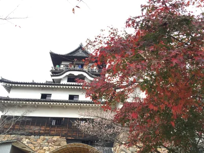 Inuyama - Photo 4