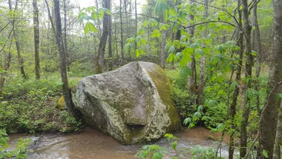 Macon County - Photo 5
