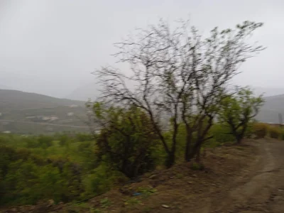 Ajdir - Photo 3