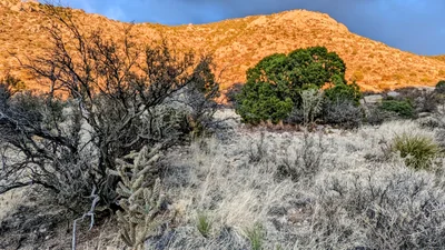 Bernalillo County - Photo 4