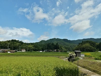 Okuizumo - Photo 3