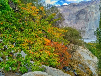 Barah Valley - Photo 2