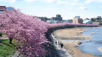Okazaki - Photo 4