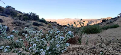 San Bernardino County - Photo 4