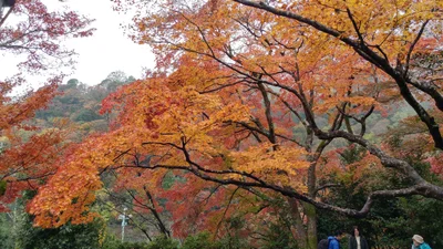 Kumiyama - Photo 3