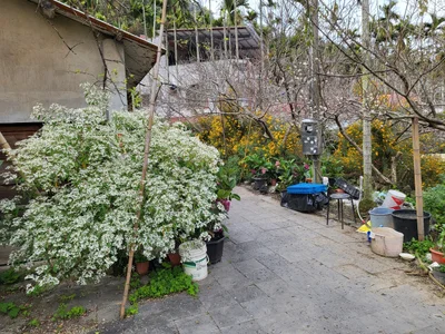 Xinyi Township - Photo 4