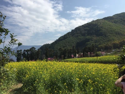 Xinyi Township - Photo 5