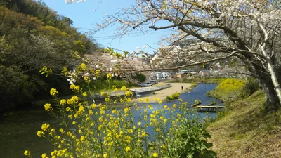 Matsuzaki - Photo 2