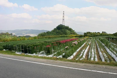 Heguri - Photo 5