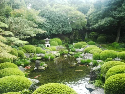 Matsusaka - Photo 2