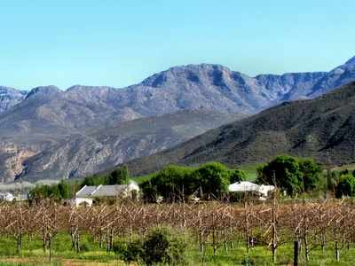 Ladysmith - Photo 5