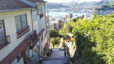 Cat Alley - Photo 5