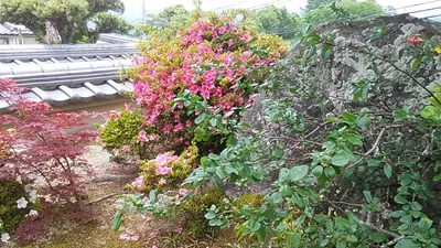 Oyodo - Photo 2