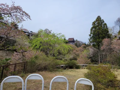 Yoshino - Photo 3