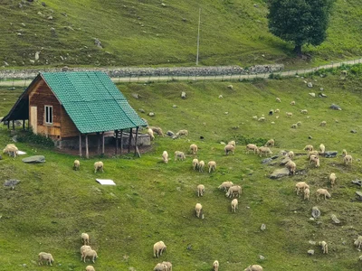 Sonamarg - Photo 3