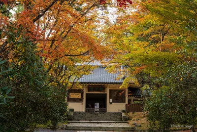 Reihokan Museum - Photo 2