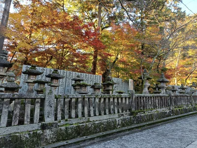 Kotohira - Photo 5