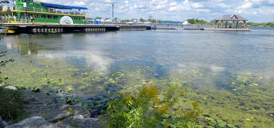 Orillia - Photo 3