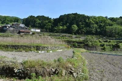 Kan-onji - Photo 4