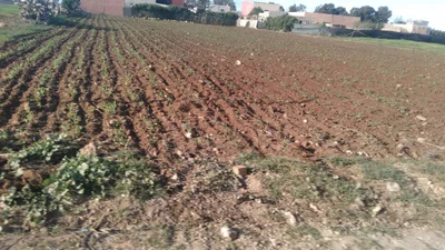 Dar Bouazza - Photo 3