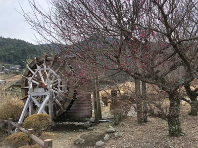 Kamiyama - Photo 5