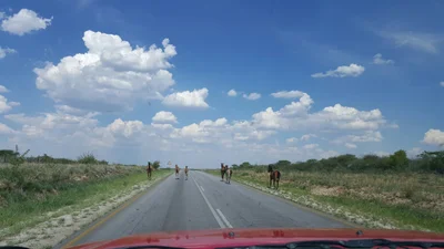 Grootfontein - Photo 5