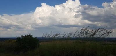 Chinhoyi - Photo 3