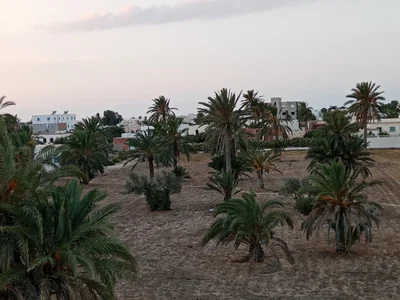 Ghizen - Photo 3