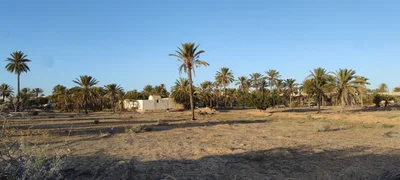 Tezdaine - Photo 5