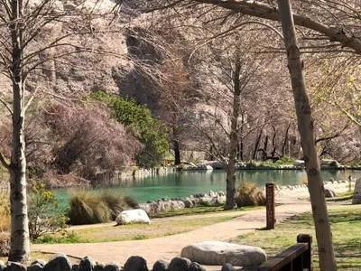 Indio - Photo 5