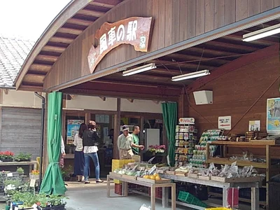 Tsuno - Photo 4