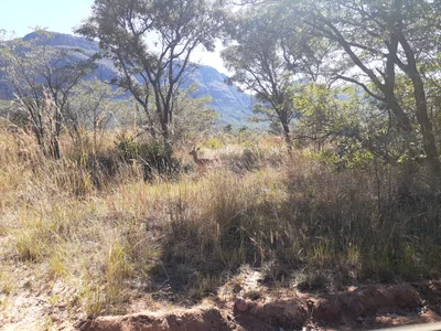 Mookgopong Local Municipality - Photo 2