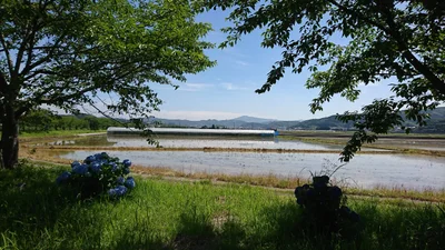 Hasami - Photo 2