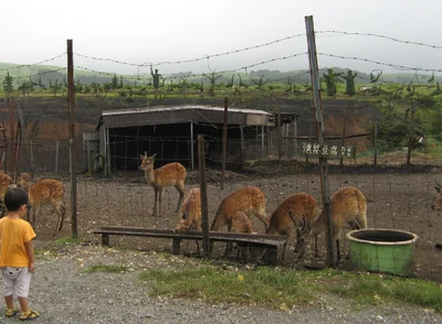 Ubuyama - Photo 5