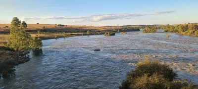 Metsimaholo Local Municipality - Photo 5