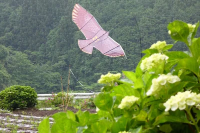 Nishihara - Photo 2