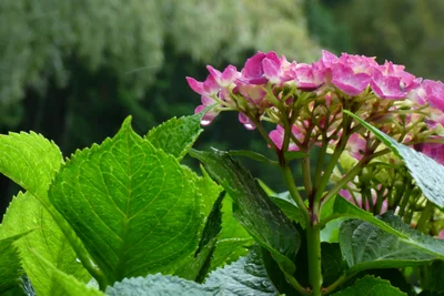 Nishihara - Photo 5