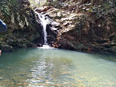 Jendouba - Photo 2