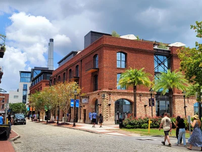 Savannah - Photo 3