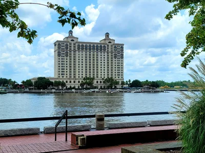 Savannah - Photo 4