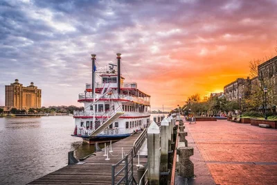 Savannah - Photo 5