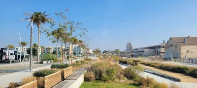 Alameda - Photo 2