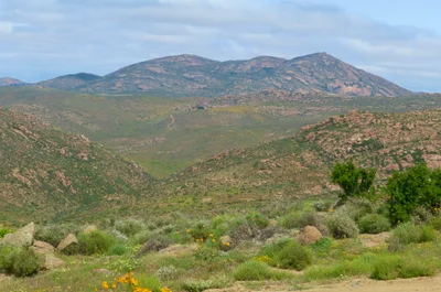 Kamiesberg Local Municipality - Photo 5
