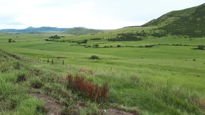 Pixley Ka Seme Local Municipality - Photo 5