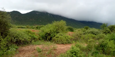 Same - Photo 2
