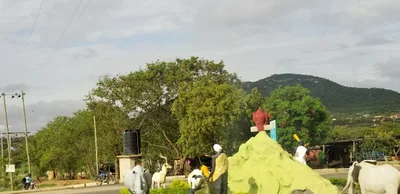Same - Photo 4