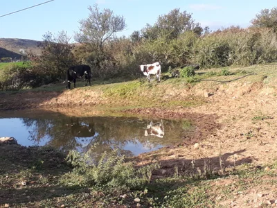 Baviaans Local Municipality - Photo 3