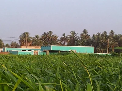 Kerma - Photo 2