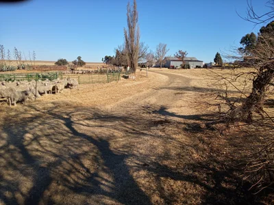 Mafube Local Municipality - Photo 3