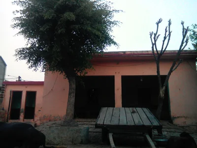 Barauli - Photo 2